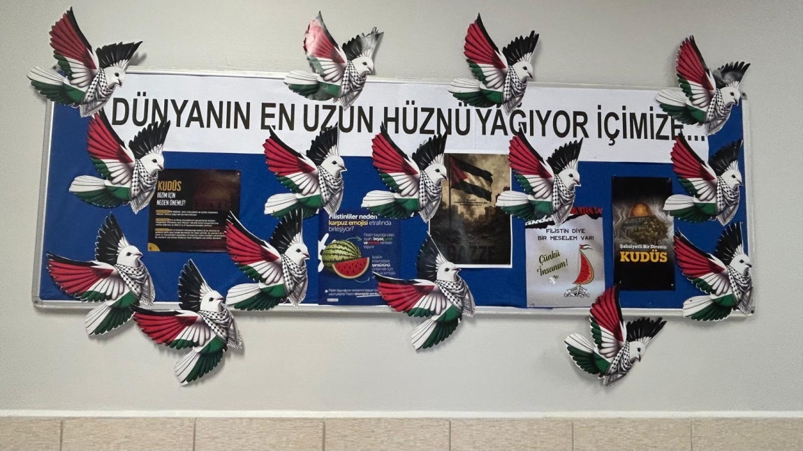 Filistin Farklındalık Çalışmaları 